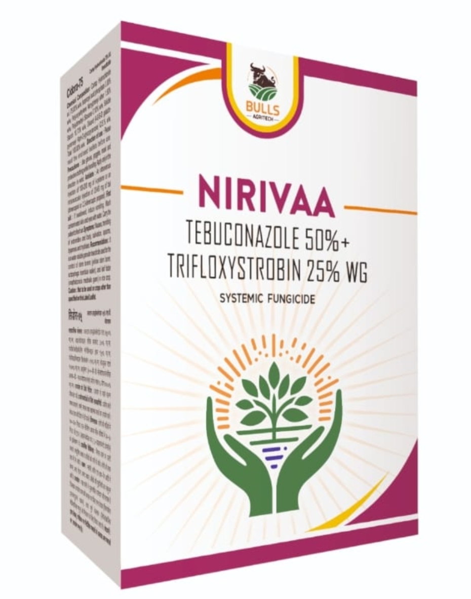 TEBUCONAZOLE50%+TRIFLOXISTROBIN 25% WG